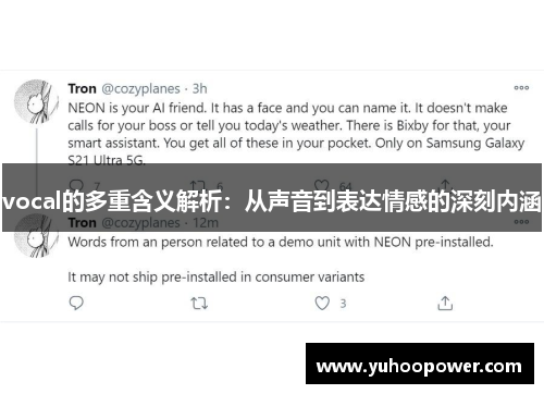 vocal的多重含义解析：从声音到表达情感的深刻内涵