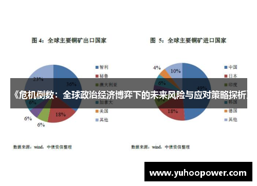 《危机倒数：全球政治经济博弈下的未来风险与应对策略探析》